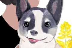 8a3225de51df9b46435acf89ba4db675